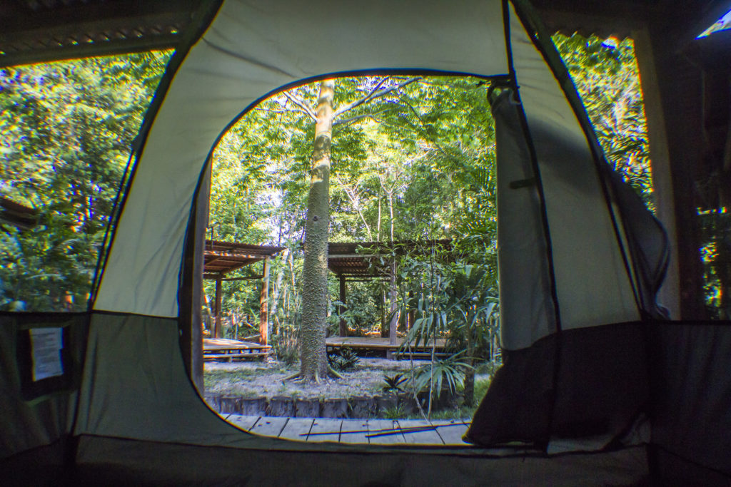 camping-la-raiz-del-futuro-mexico-Rutopia-1024x683