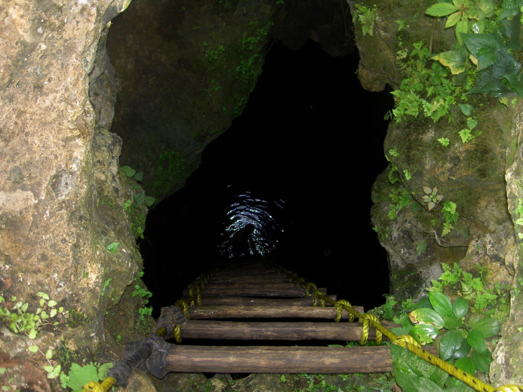 punta-laguna-cenote-rutopia