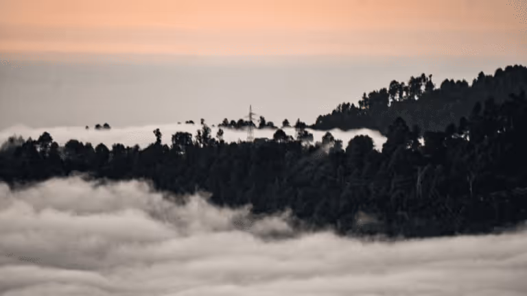 san-jose-pacifico-bosque-nubloso-768x432