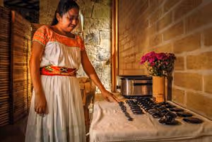temazcal y spa con productos de la abeja melipona en tosepan kali puebla