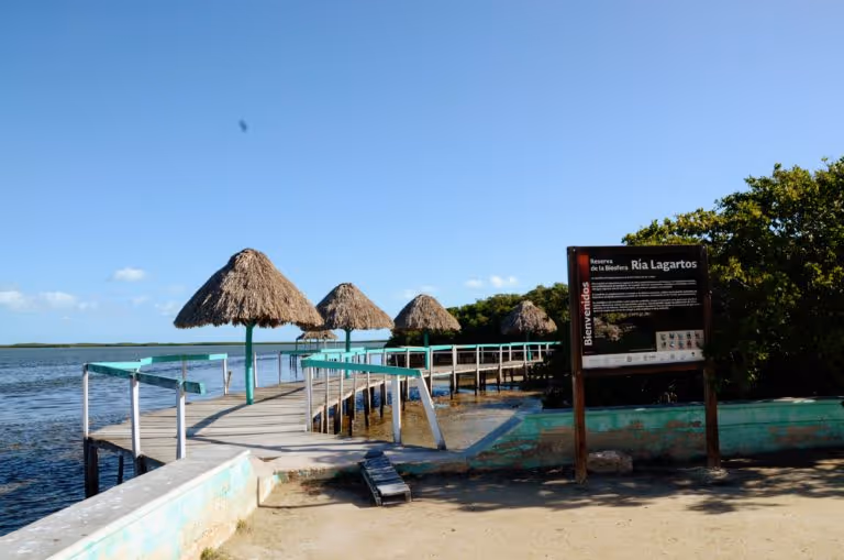 DSC_1320-768x509
