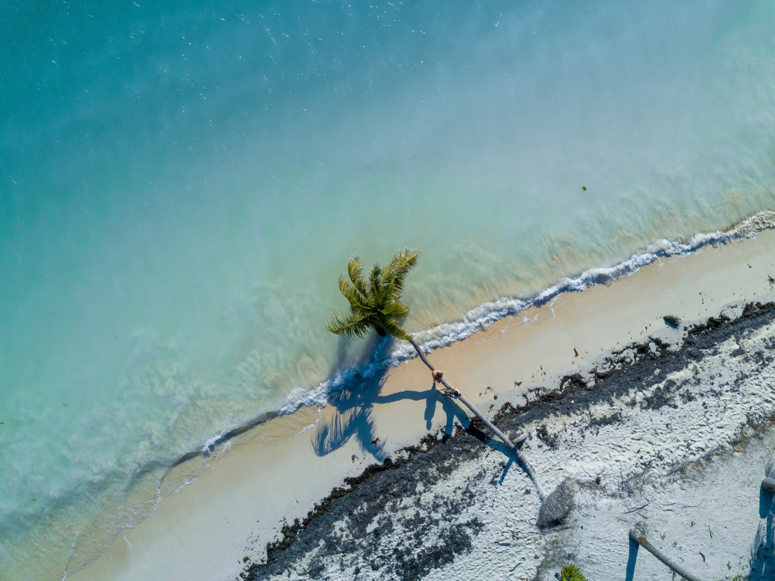 J8_PUNTA_ALLEN_DRONE-0006-1-1536x1151