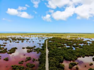 coloradas-mexico-rutopia