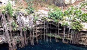 IMG_0445-1-scaled-e1654192710738-300x175