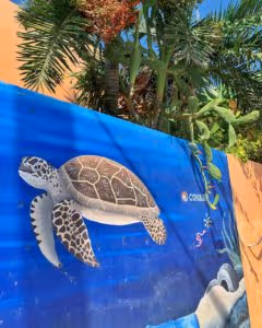 arte-callejera-el-cuyo-mexico