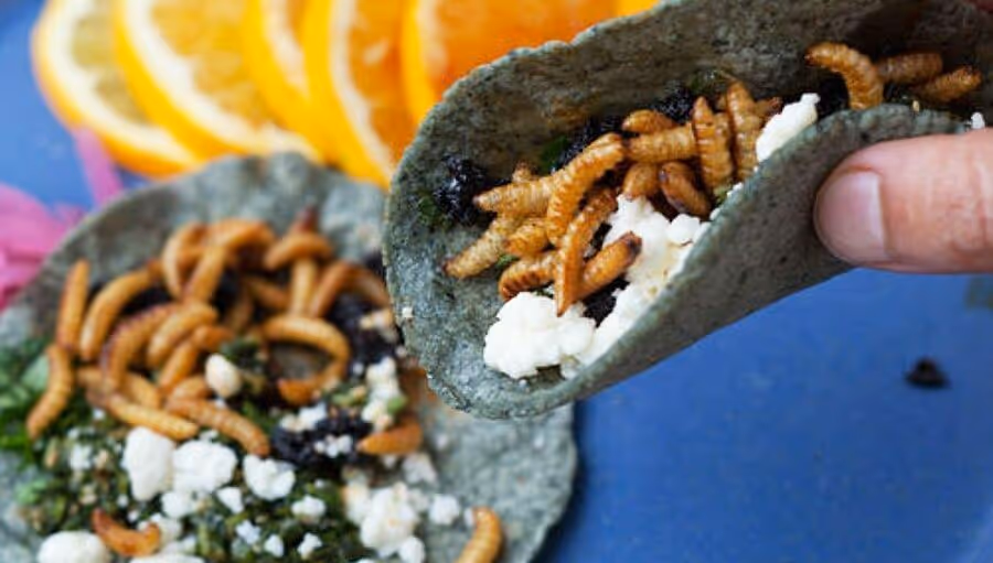 large-Cuetlas-Cholula_-Puebla