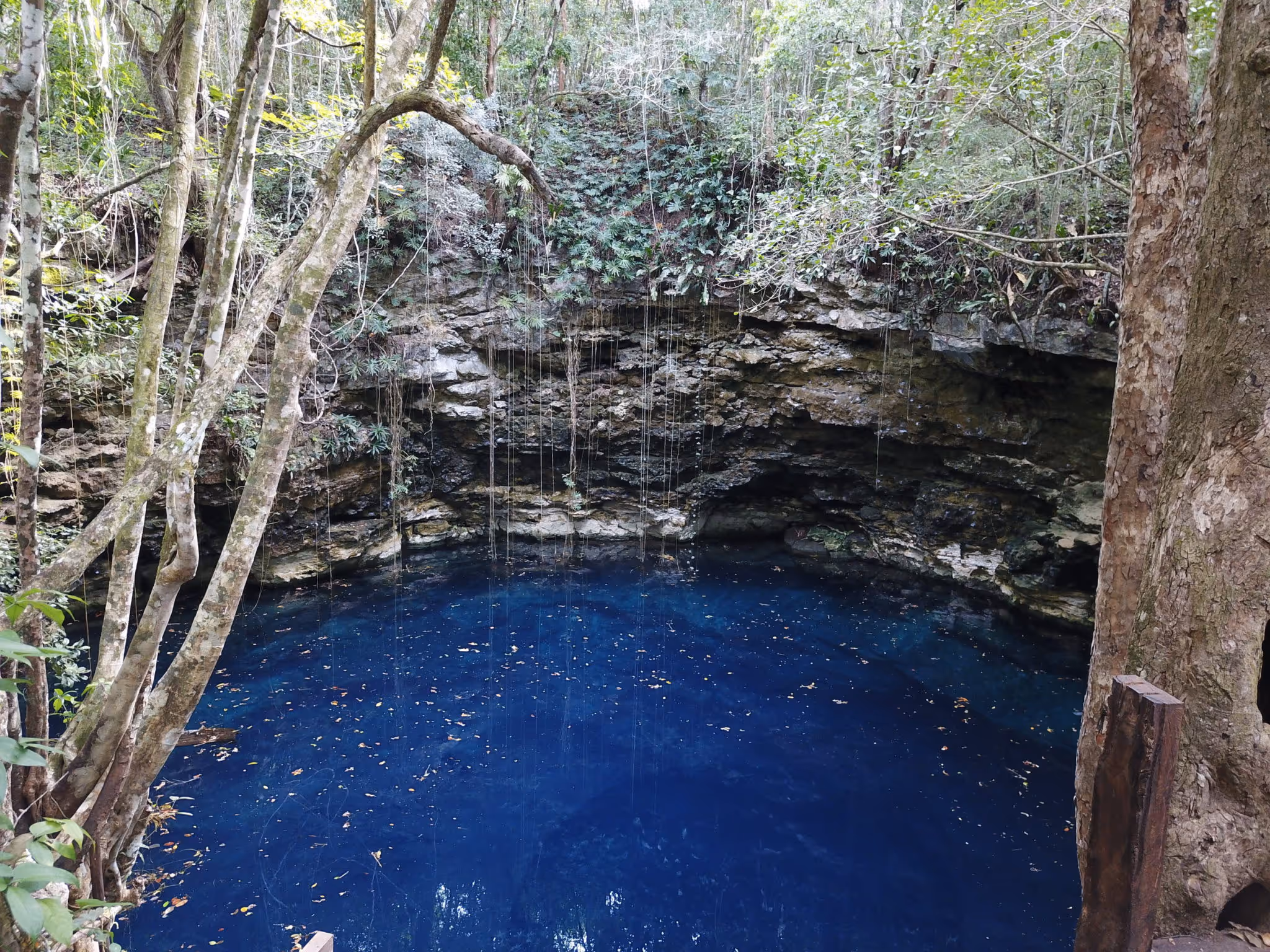 Cenote-Hamtun-Dzula-2048x1536