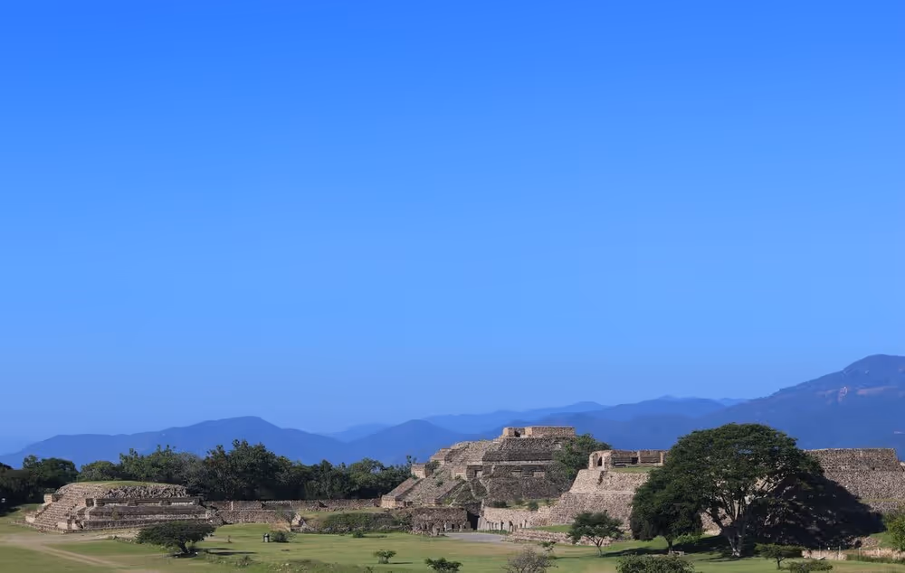 large-Monte-Alba%CC%81n-oaxaca