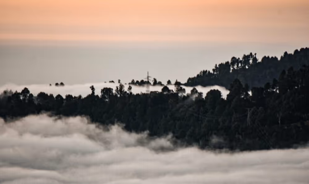 large-Cloud-forrest