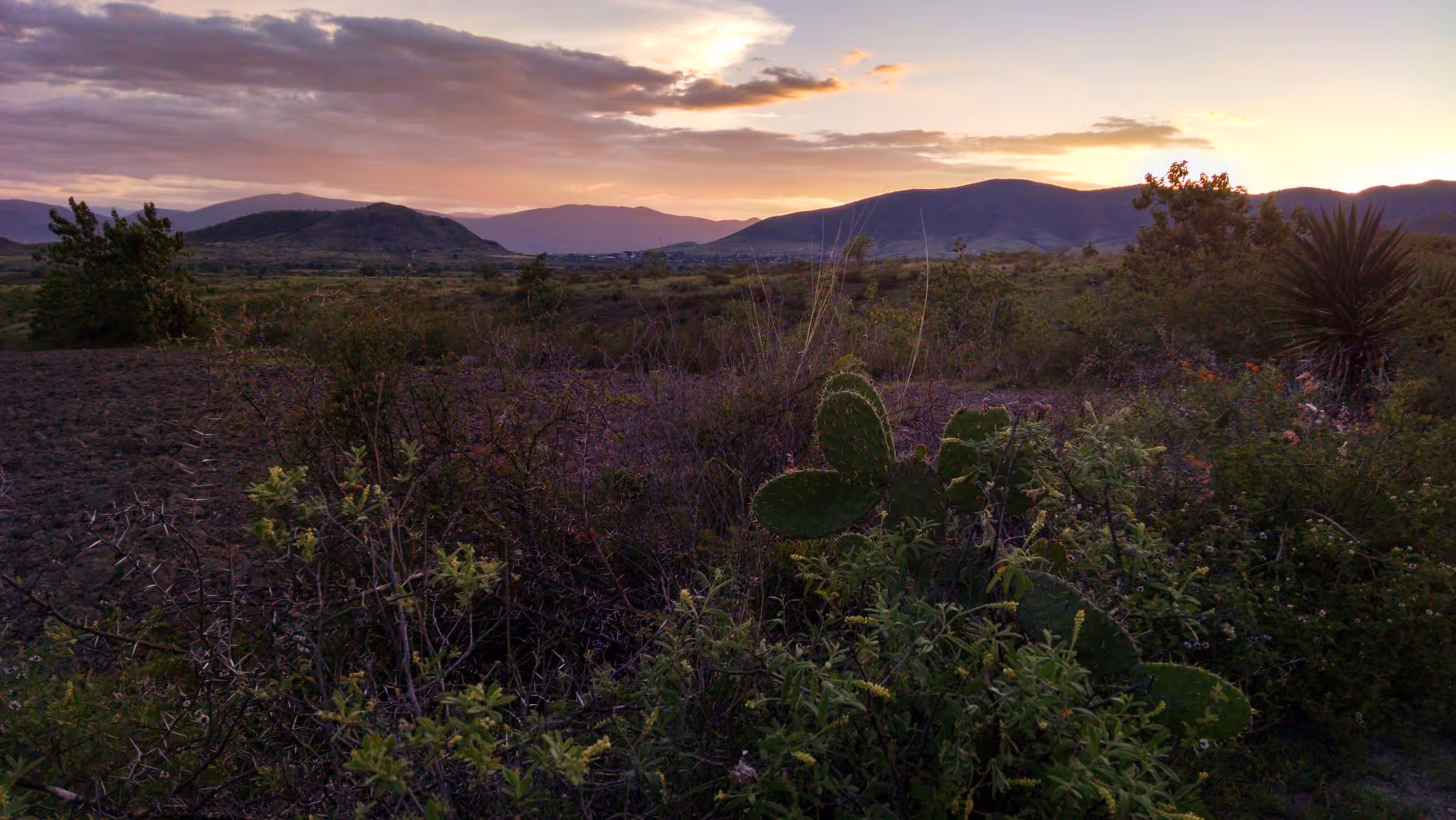 Teotitla%CC%81n-landscape-2048x1153