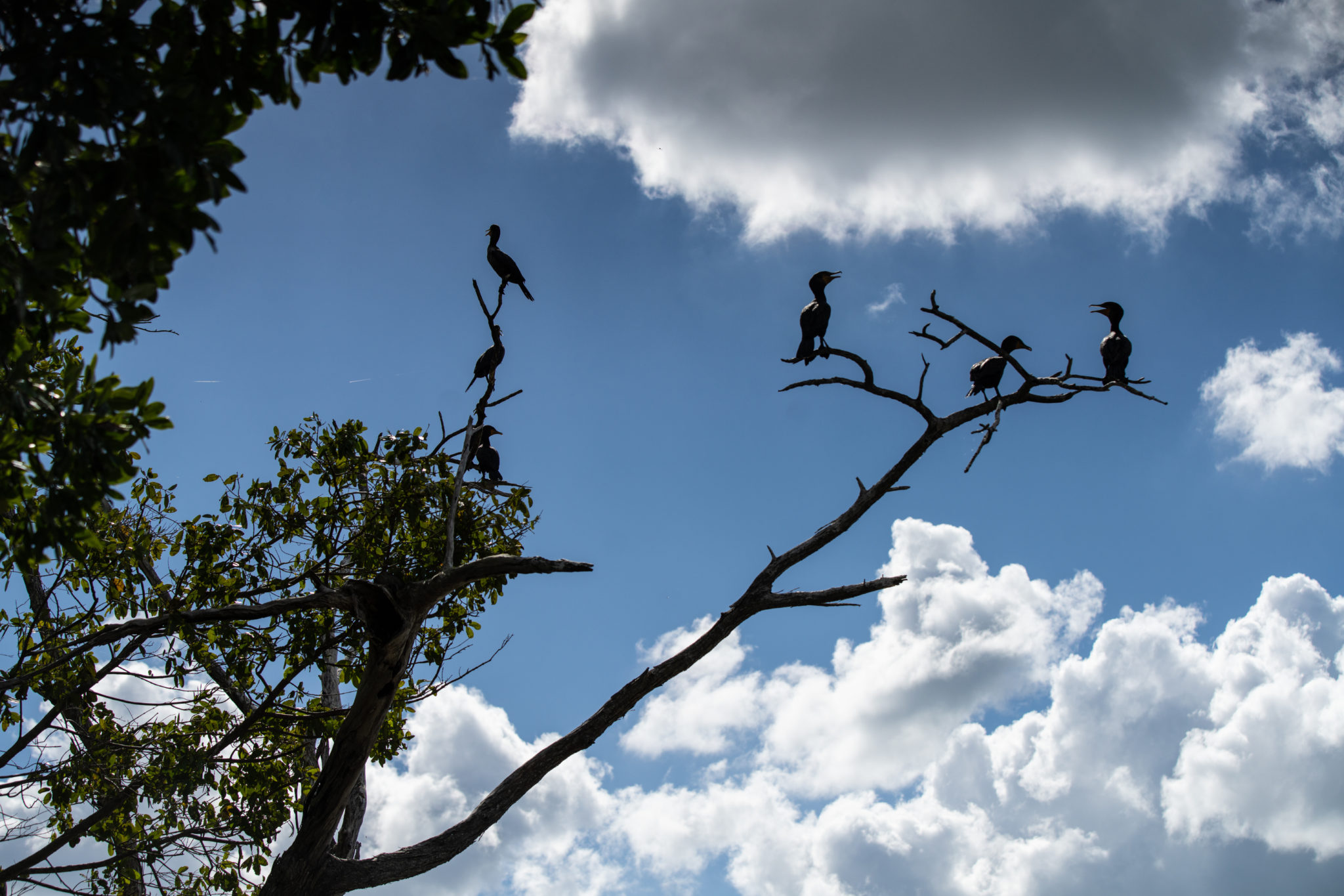 J10_WOTOCH_AAYIN-08238-2048x1365