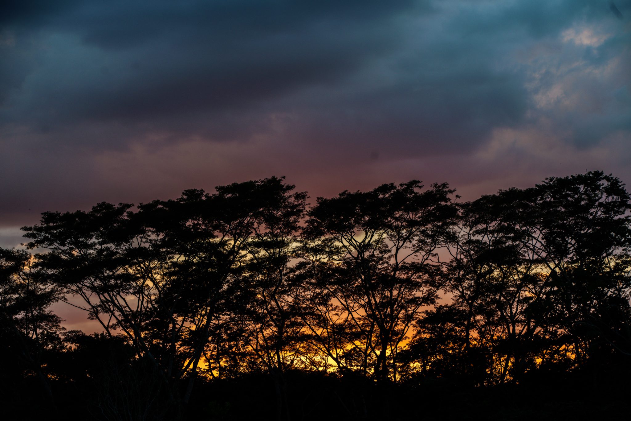 J4_METZABOK-03697-2048x1365