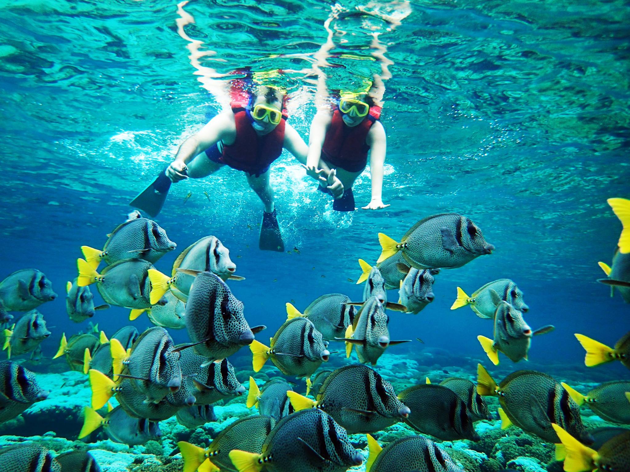 snorkel en huatulco