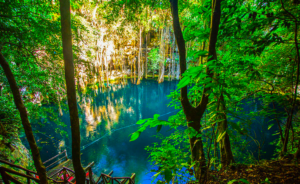 Captura-de-Pantalla-2021-10-27-a-las-17