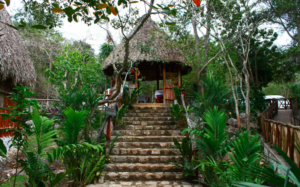 Captura-de-Pantalla-2020-09-15-a-las-4