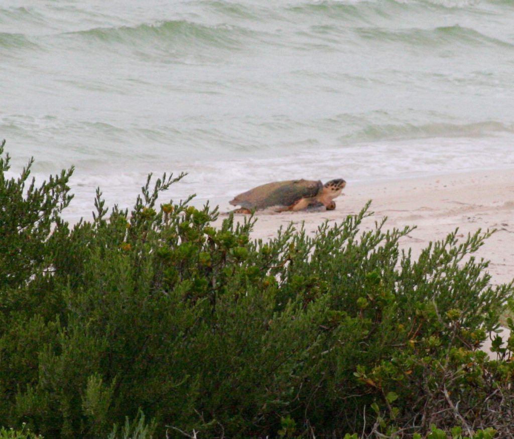 27803210201_89a9af0315_o-1024x875