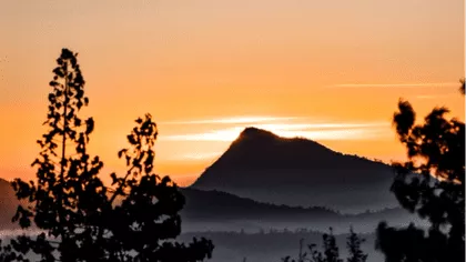 Amanecer con hongos en San José del Pacífico