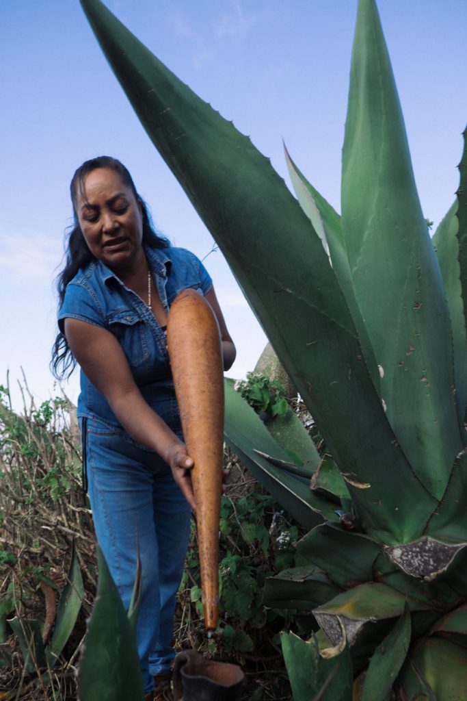 200213_elalmacen_0143-683x1024