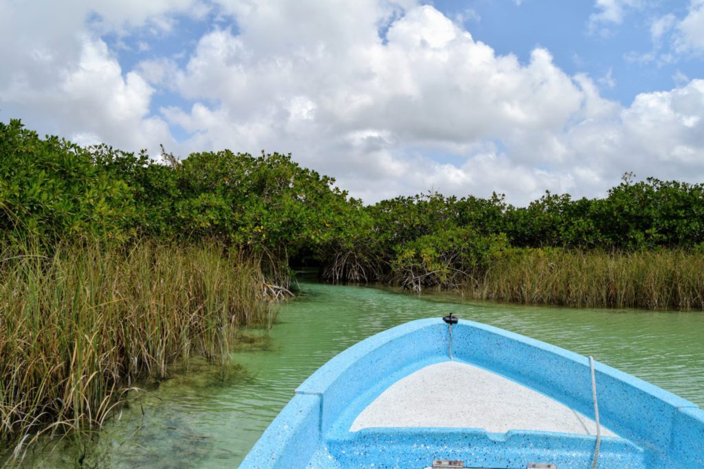 DSC_0319-1536x1024-1-1024x683