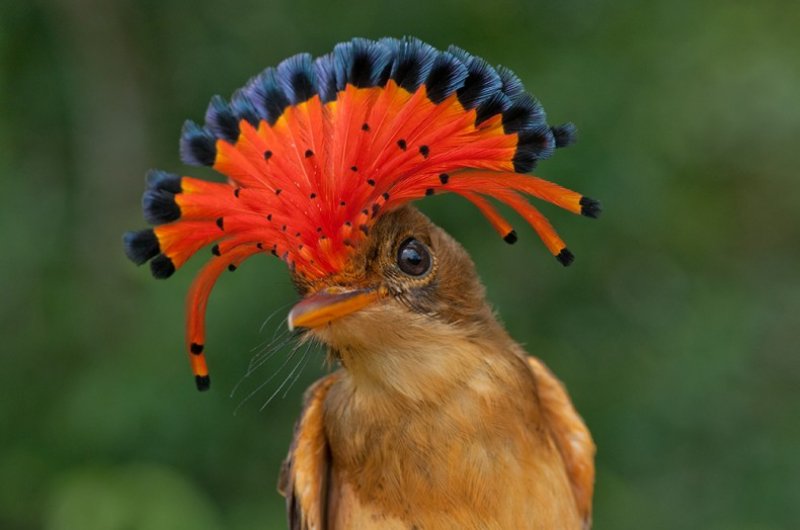 ¡Descubre Yucatán de una manera muy íntima y única!
