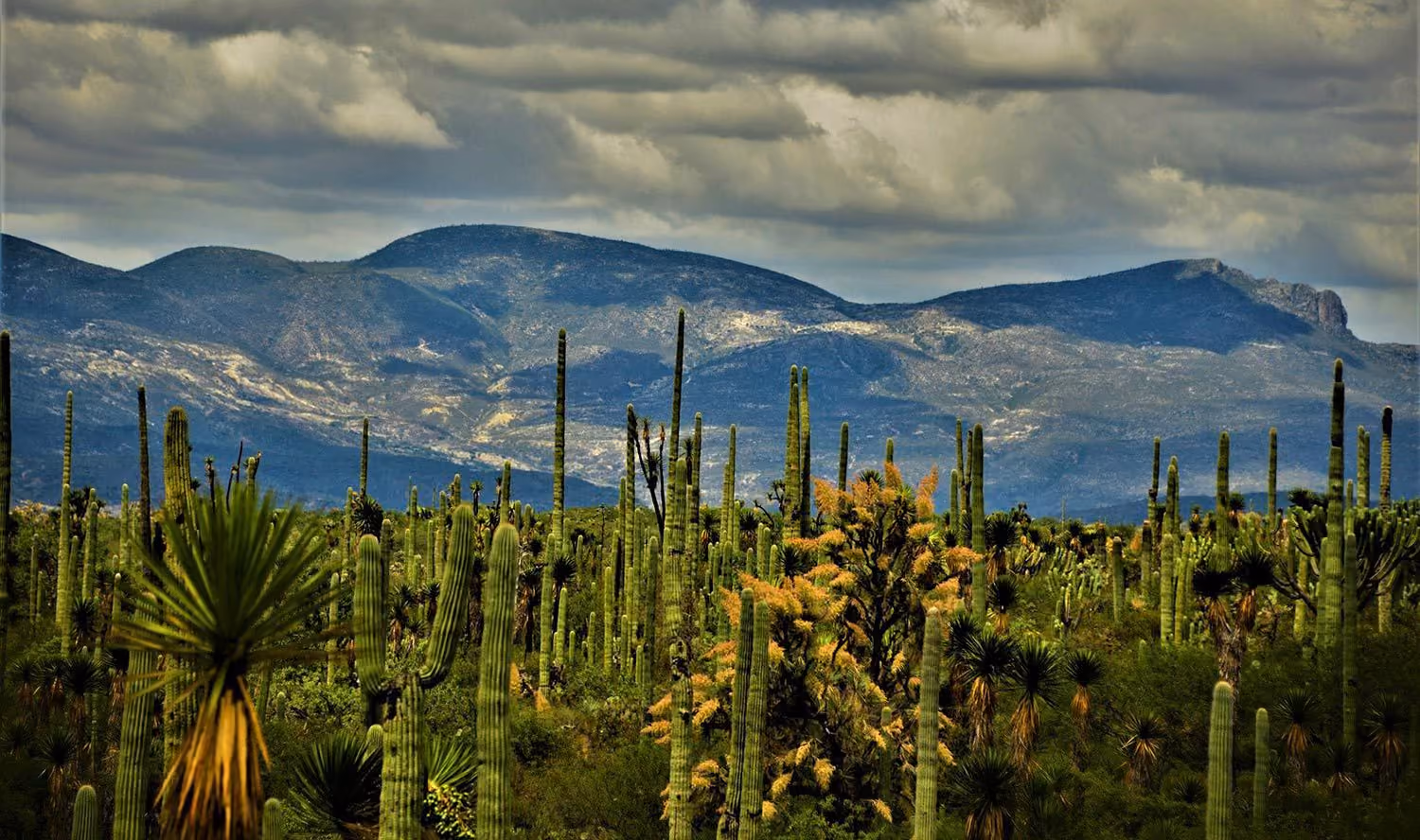 carreteras-mexico-rutopia