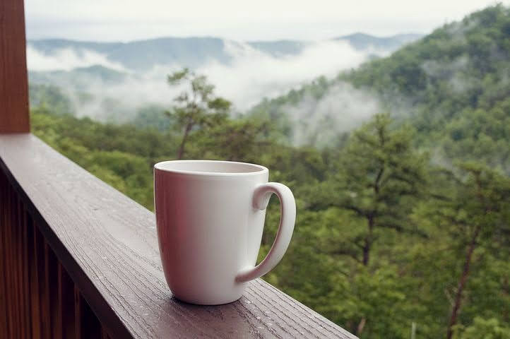 cafe-mexico-rutopia_2