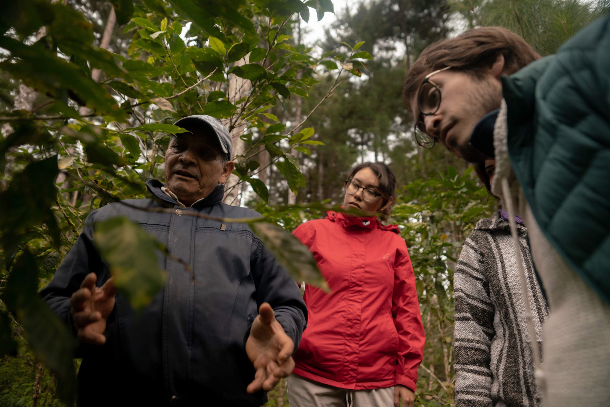 Rutopia-Chiapas-Tziscao-Actividades-Recorrido-por-huertas-de-cafe-GAL05017-2048x1366