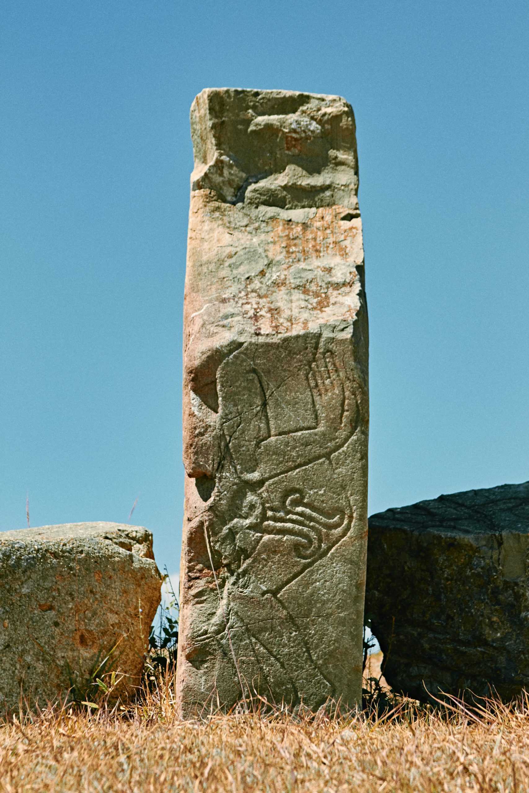 niña-con-sombrero-rojo-u5fFllGrV4I-unsplash-scaled