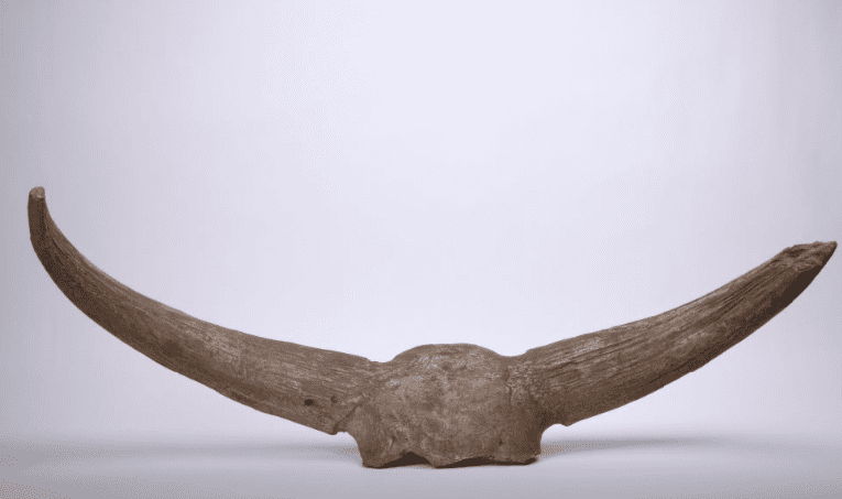 pieza de América México