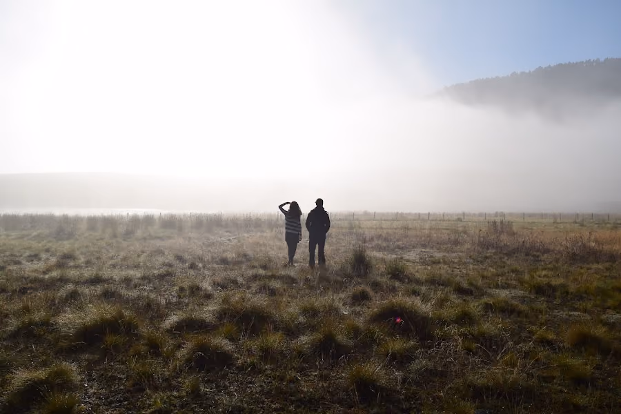 bosque-de-encanto-oaxaca-rutopia