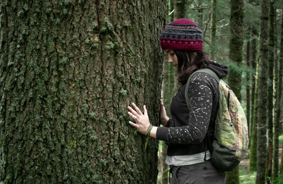 bosques-de-encanto-de-ixtepeji-mexico-naturaleza-rutopia