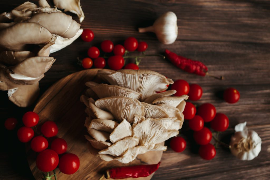 bosque-de-encanto-oaxaca-comida-rutopia-1024x683