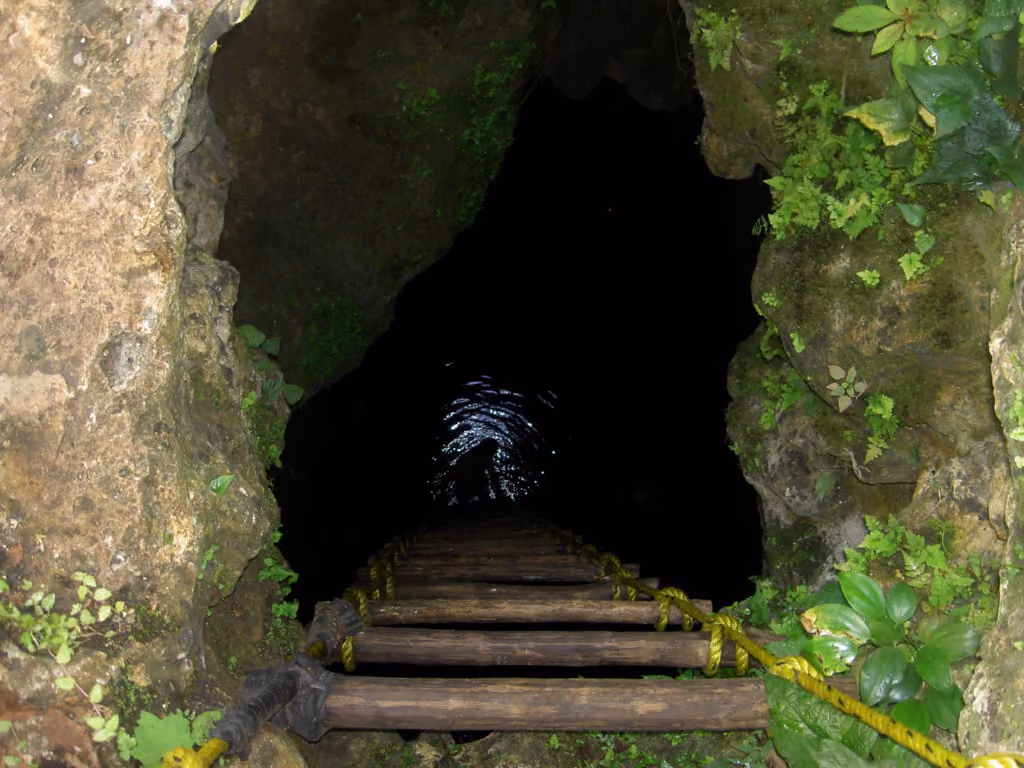 punta-laguna-cenote-rutopia
