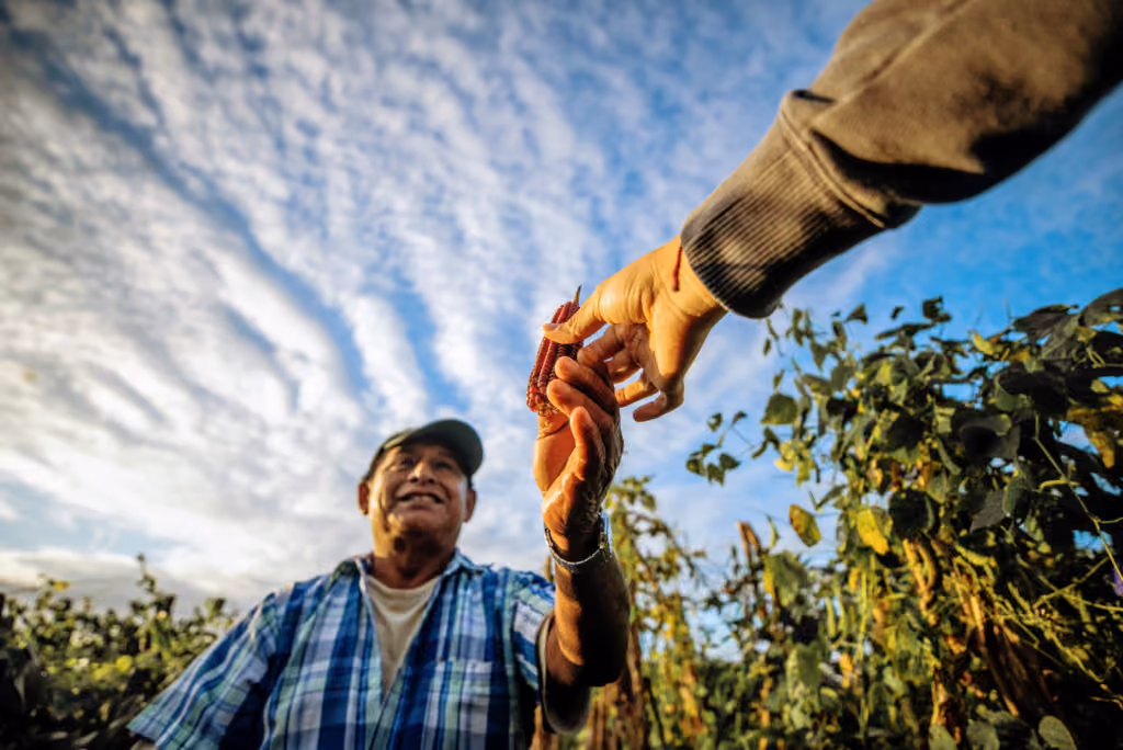 Experiencias-2-1024x684