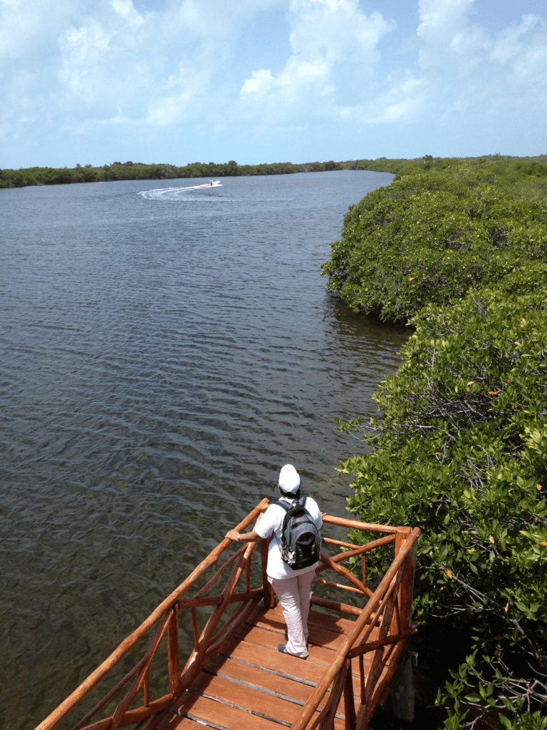 mujeres_emprendedoras_de_las_orquideas_de_sian_kaan-768x1024