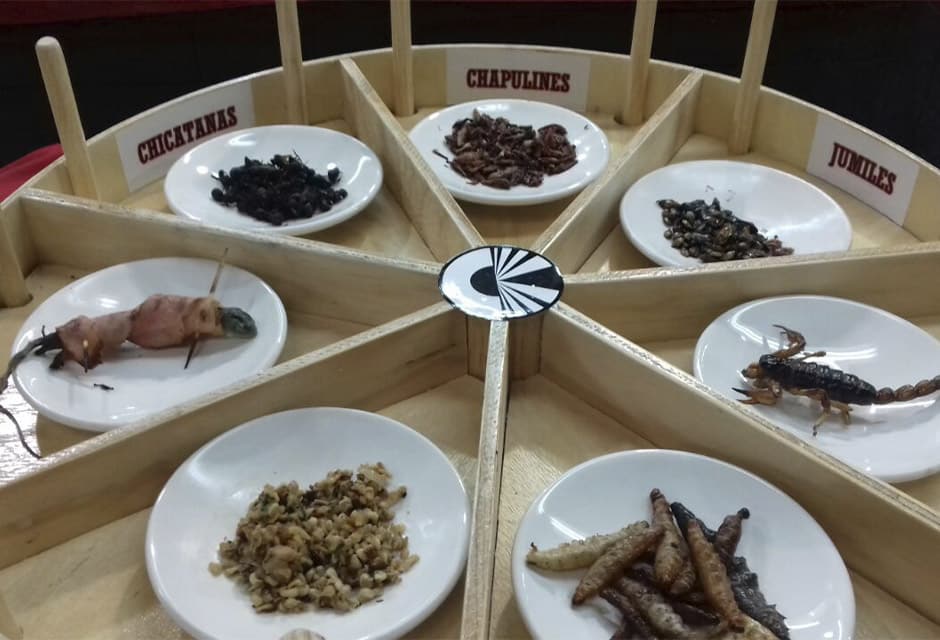 Mercado-San-Juan-comida-mexico-rutopia