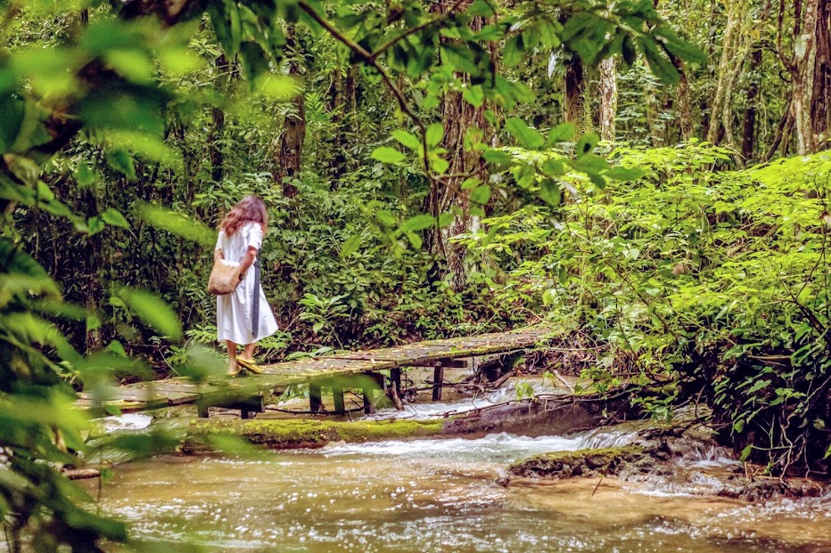 CHIS-Lacandone-ELM-_Explore-Le-Monde_-Banco-Fotos-Totonal