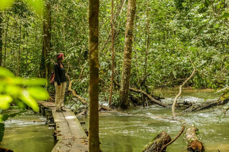 CHIS-Lacandone-ELM-2-_Explore-Le-Monde_-Banco-Fotos-Totonal-768x511