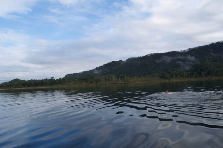 DSC_0100-768x512