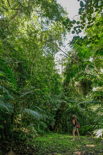 CHIS-ELM-6CHIS-ELM-7-_Explore-Le-Monde_-Banco-Fotos-Totonal