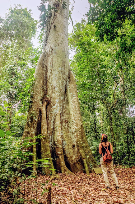 CHIS-Lacandone-ELM-6-_Explore-Le-Monde_-Banco-Fotos-Totonal