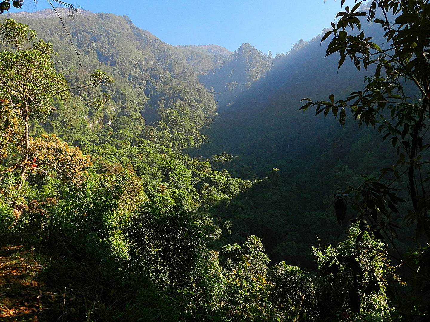 tacana-reserva-de-la-biosfera-rutopia-300x225