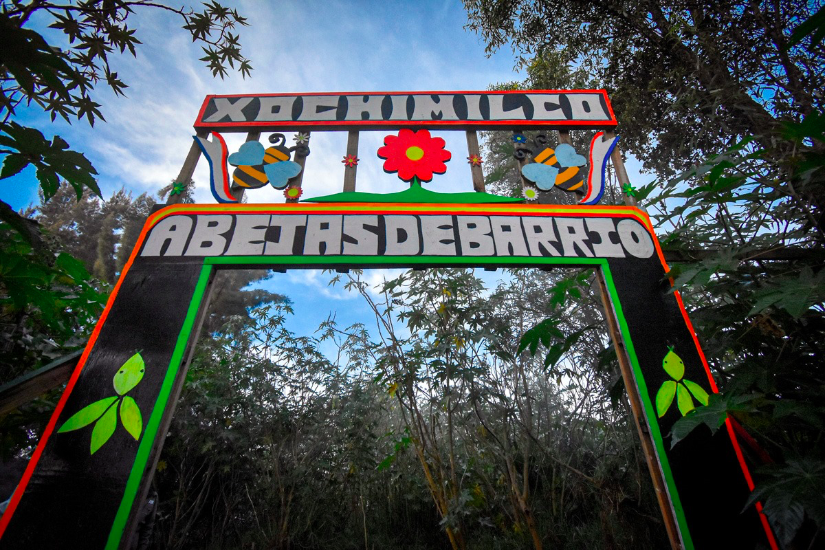 chinampa-xochimilco-rutopia