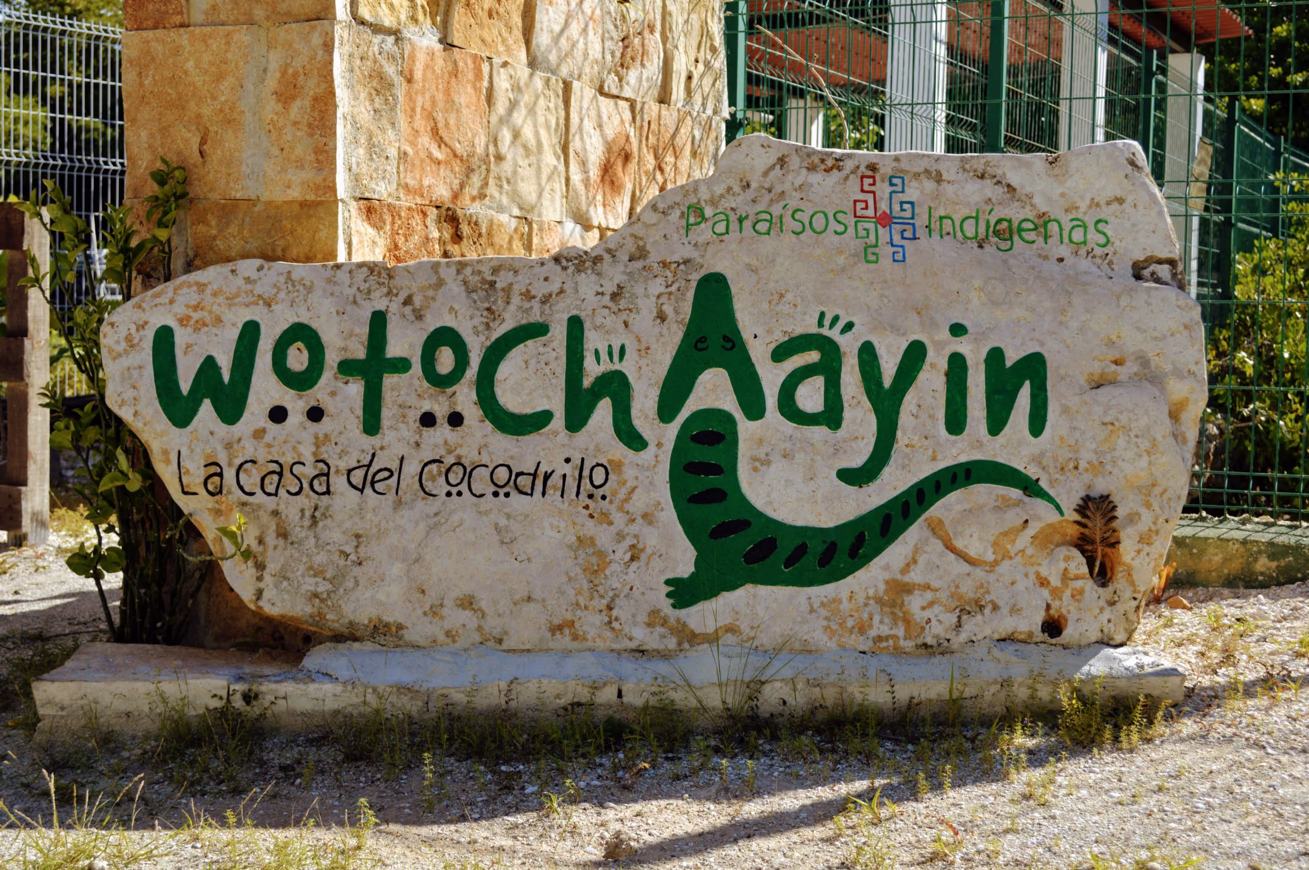 logotipo de wotochaayin