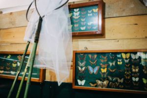 mariposario de tosepan kali en cuetzalan puebla