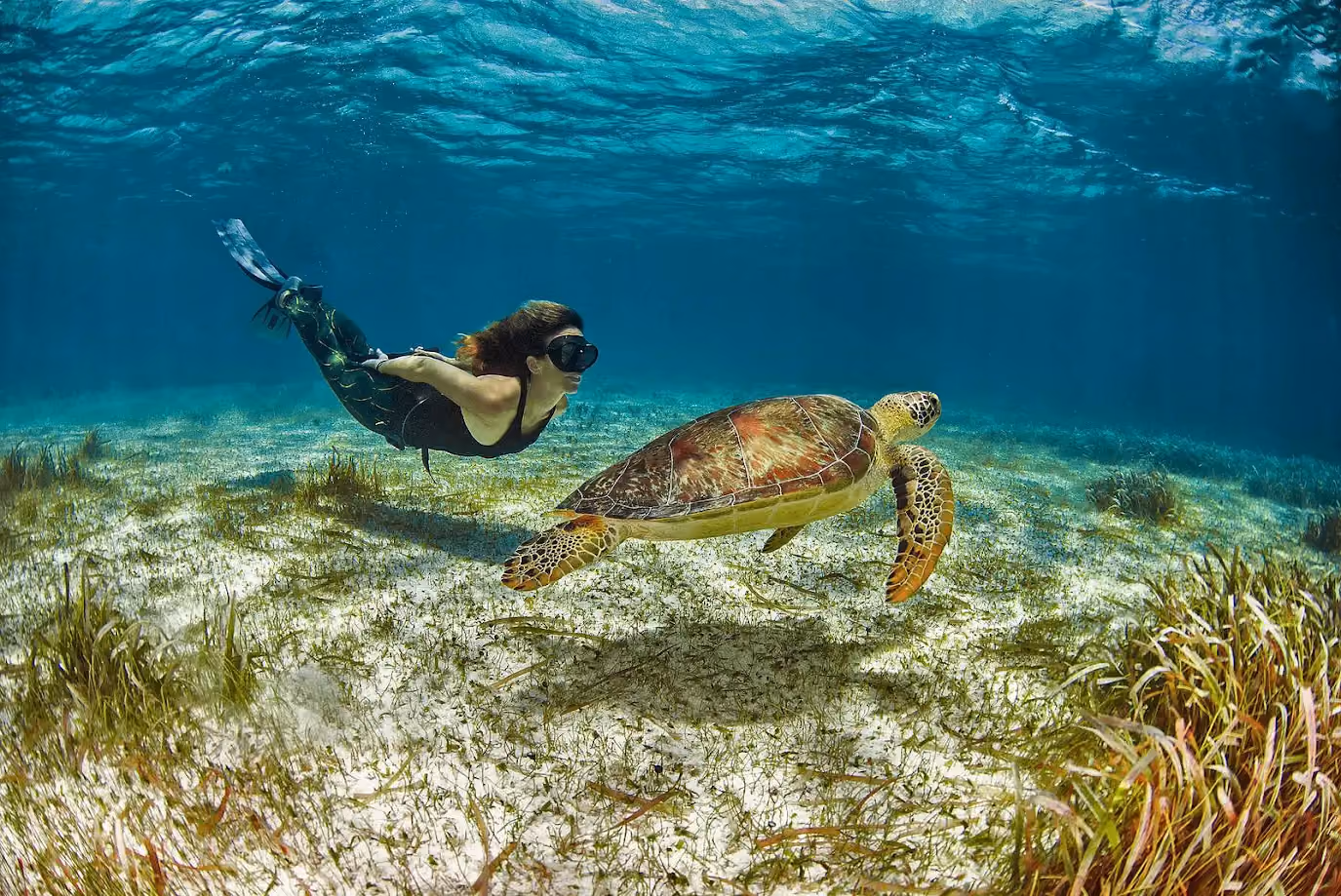 Mujer bajo el agua nadando con una tortuga