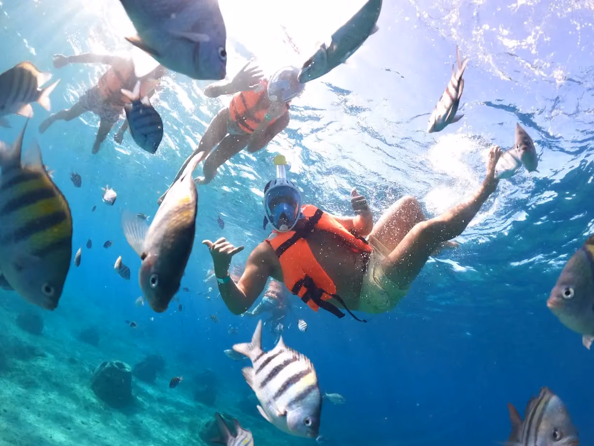 Personas buceando con peces