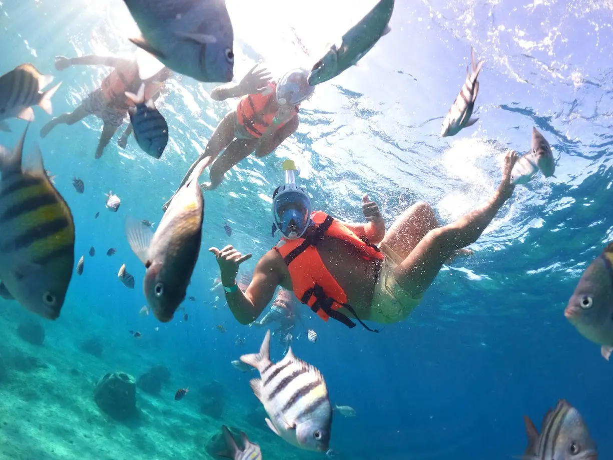 Personas buceando con peces