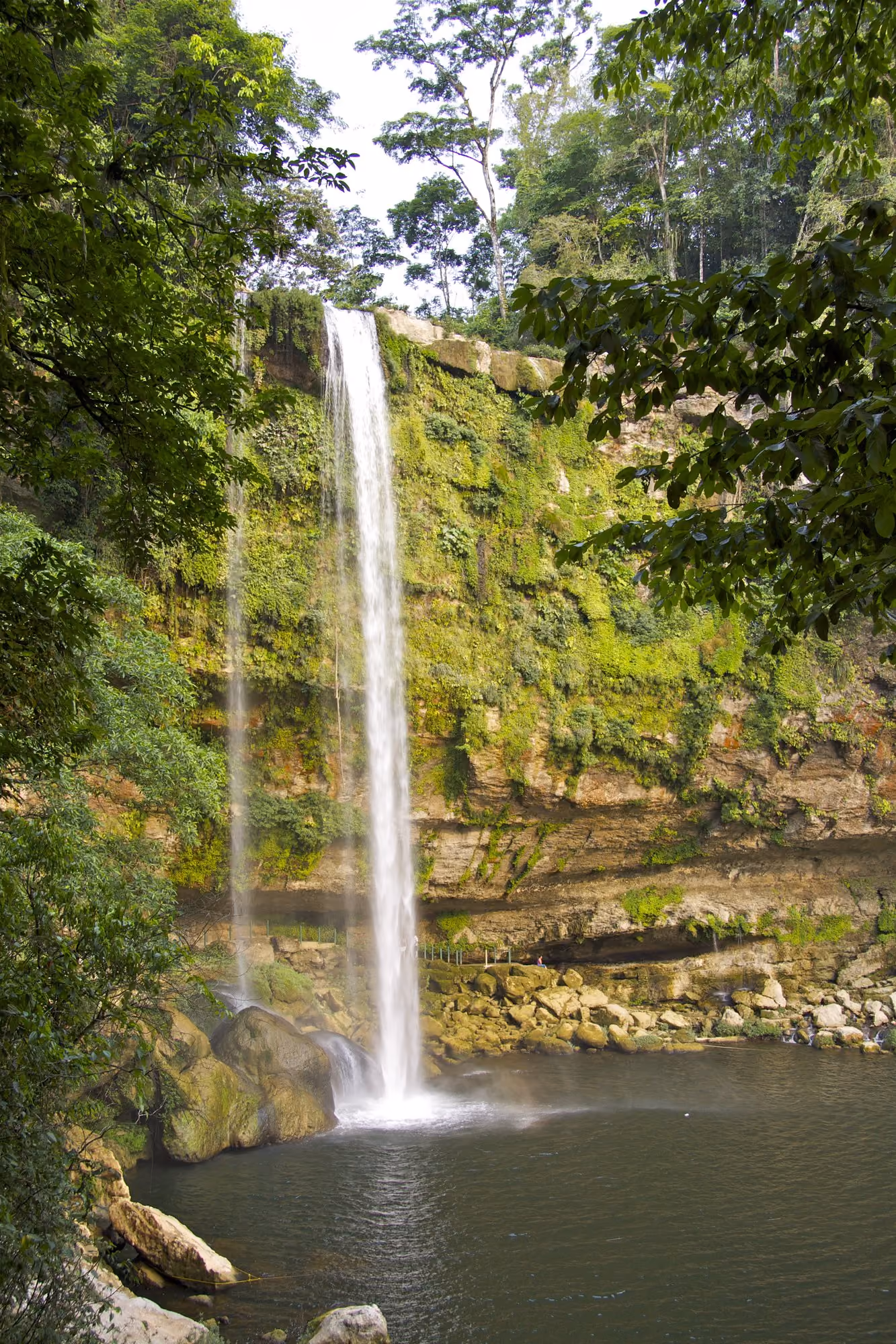 Mexico tours - Chiapas rainy season jungle