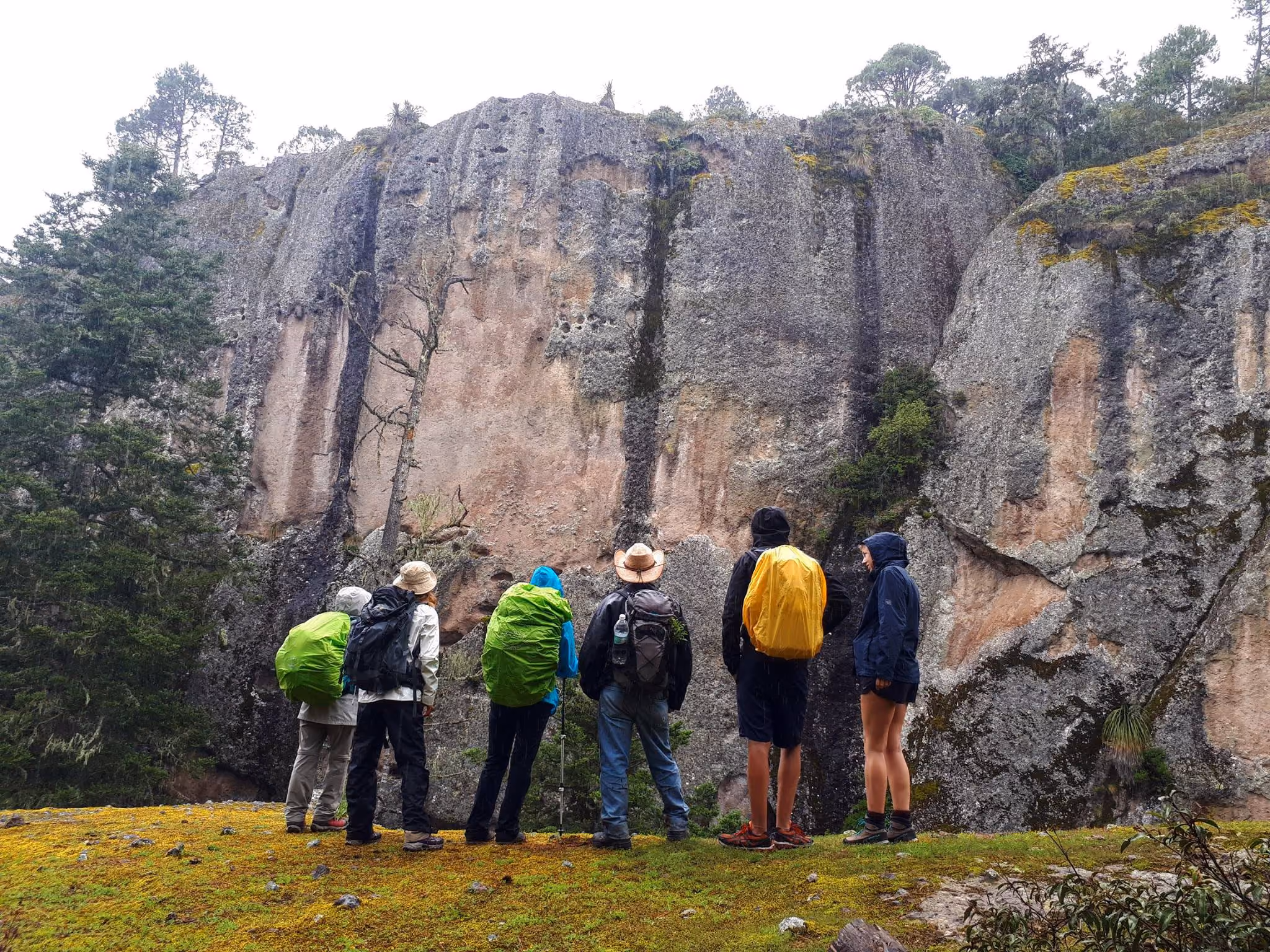 Mexico eco tours - Sierra Norte, Oaxca